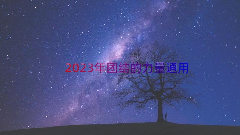 2023年团结的力量（通用14篇）