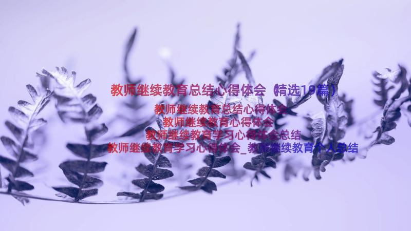 教师继续教育总结心得体会（精选19篇）