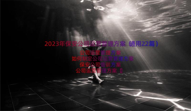 2023年保安公司运营管理方案（通用22篇）