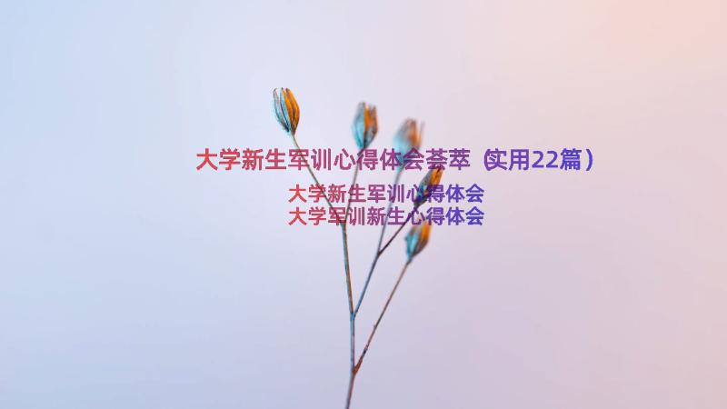 大学新生军训心得体会荟萃（实用22篇）