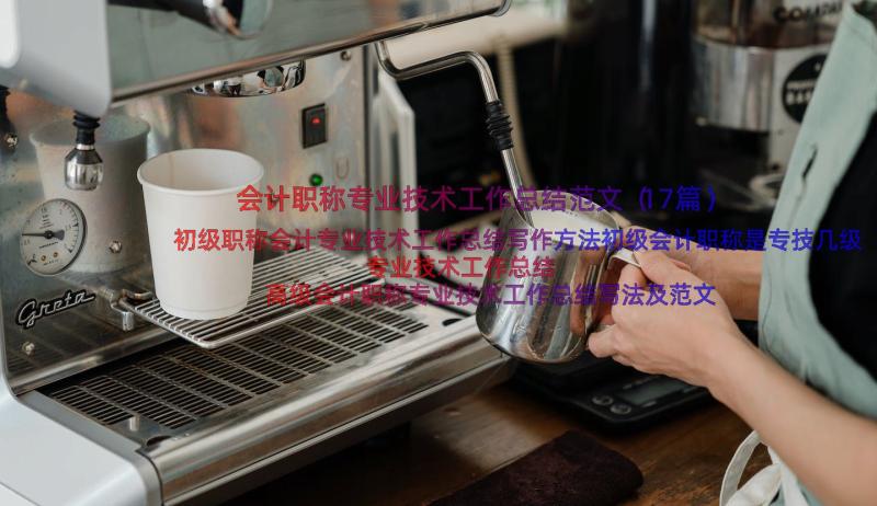 会计职称专业技术工作总结范文（17篇）