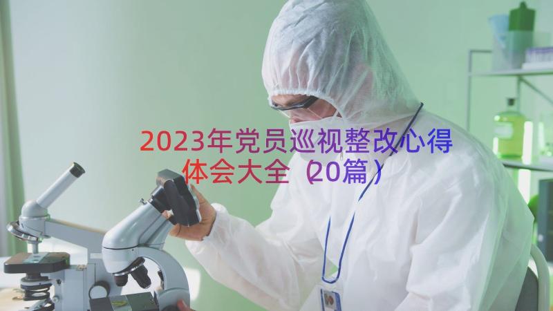 2023年党员巡视整改心得体会大全（20篇）