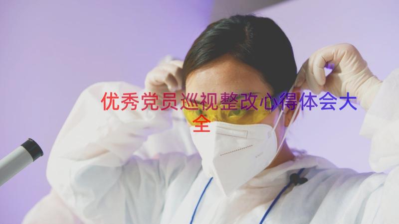 优秀党员巡视整改心得体会大全（16篇）