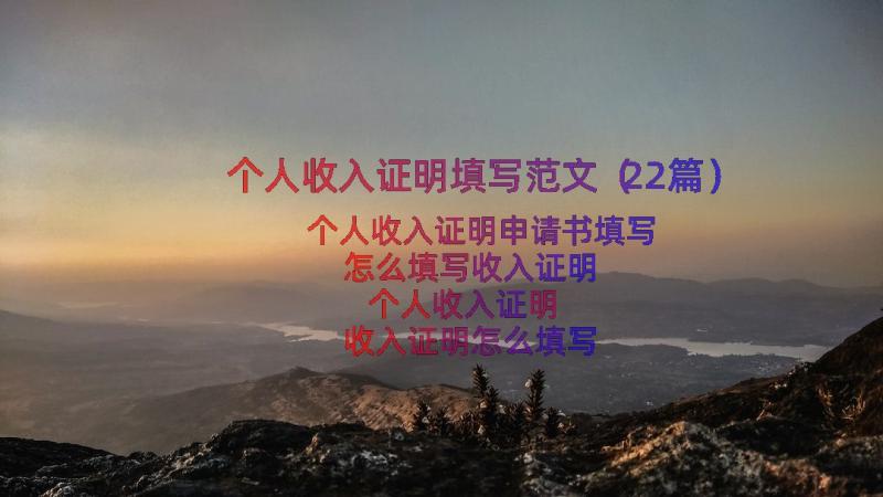 个人收入证明填写范文（22篇）