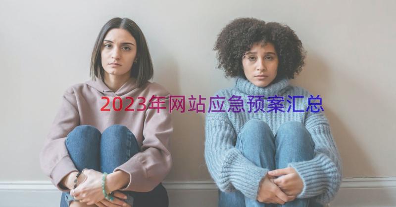 2023年网站应急预案（汇总16篇）