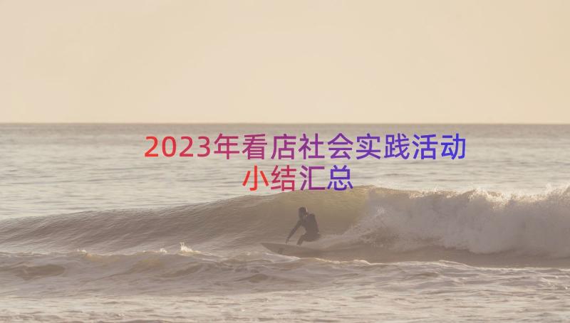 2023年看店社会实践活动小结（汇总17篇）