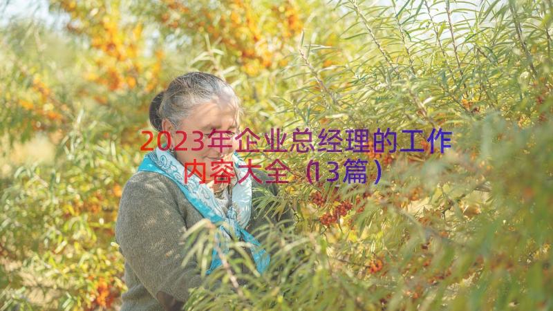 2023年企业总经理的工作内容大全（13篇）