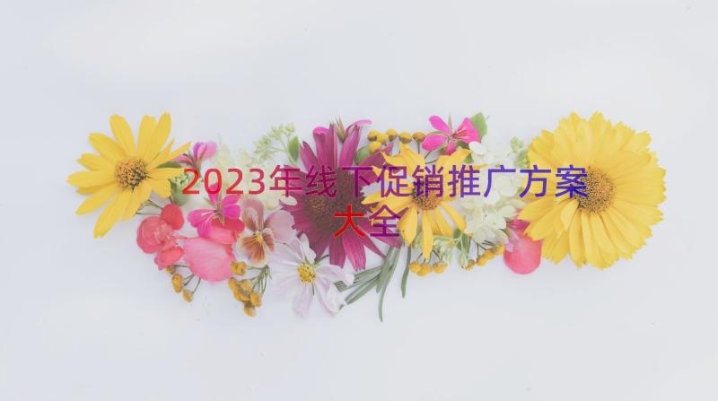 2023年线下促销推广方案大全（13篇）