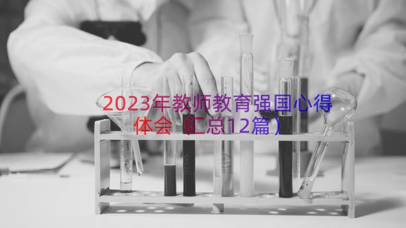 2023年教师教育强国心得体会（汇总12篇）