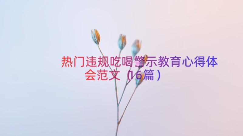 热门违规吃喝警示教育心得体会范文（16篇）