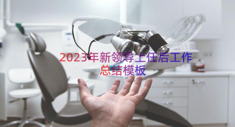 2023年新领导上任后工作总结（模板13篇）