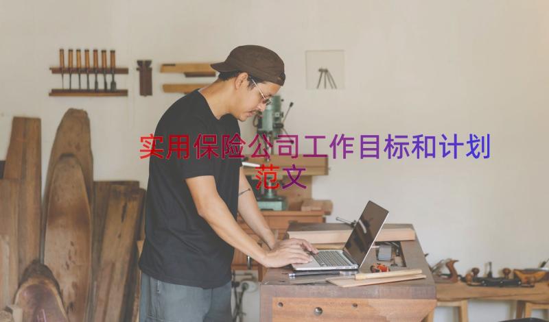 实用保险公司工作目标和计划范文（13篇）