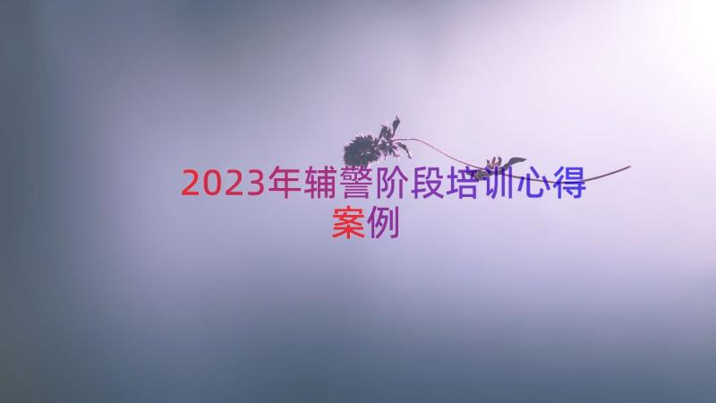 2023年辅警阶段培训心得（案例19篇）