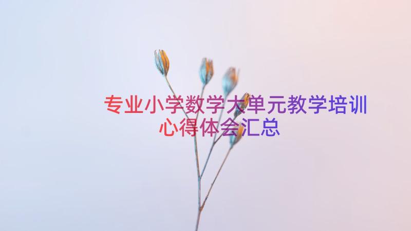 专业小学数学大单元教学培训心得体会（汇总17篇）