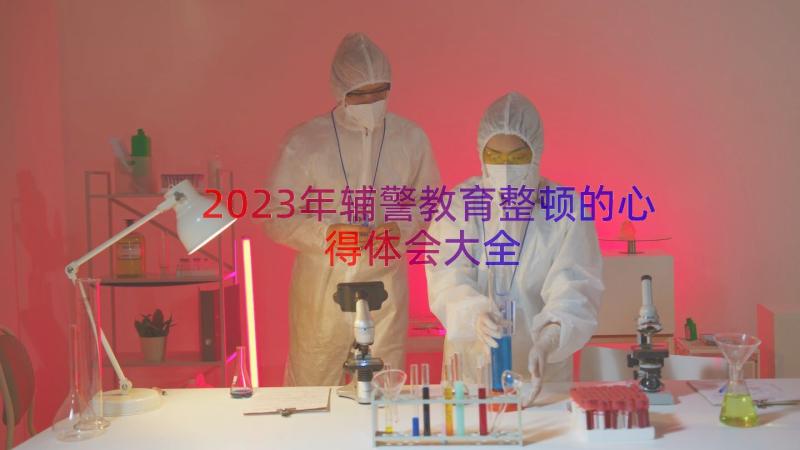 2023年辅警教育整顿的心得体会大全（12篇）