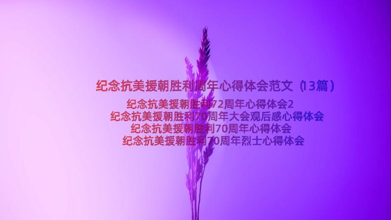 纪念抗美援朝胜利周年心得体会范文（13篇）