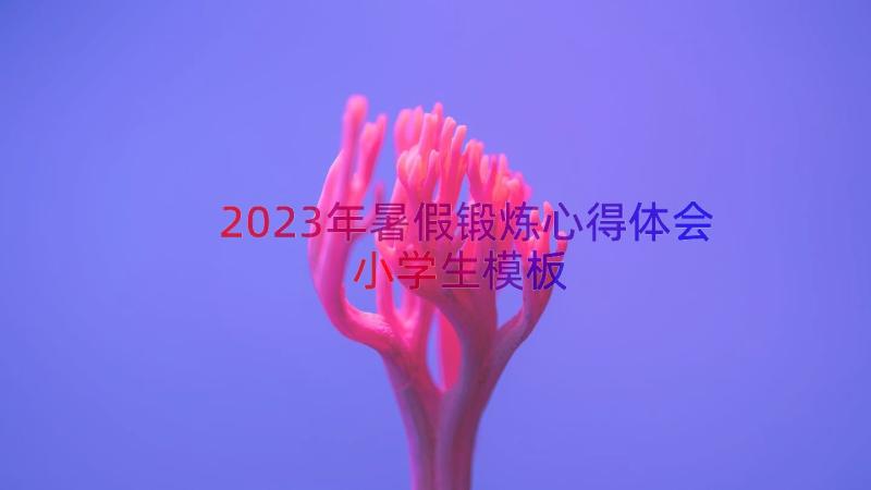 2023年暑假锻炼心得体会小学生（模板14篇）