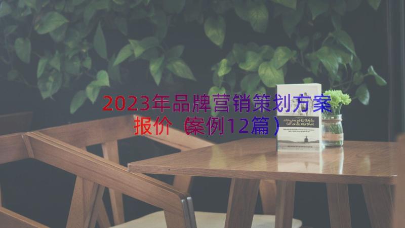 2023年品牌营销策划方案报价（案例12篇）