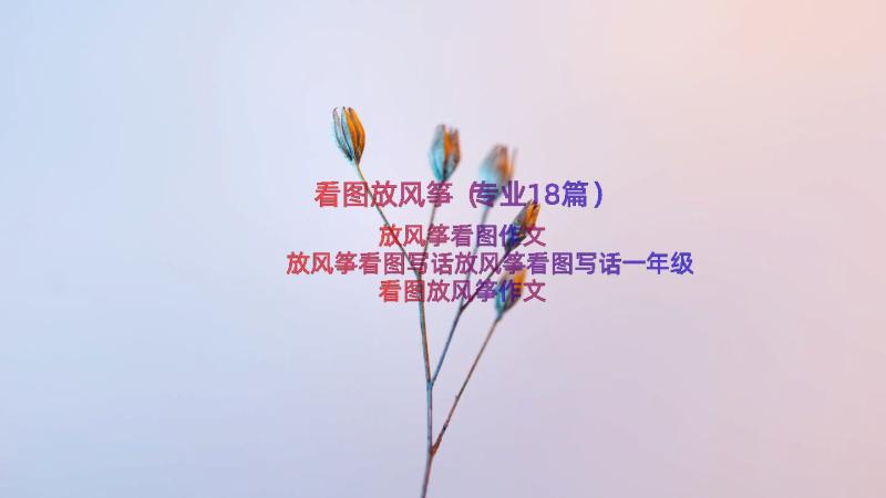 看图放风筝（专业18篇）