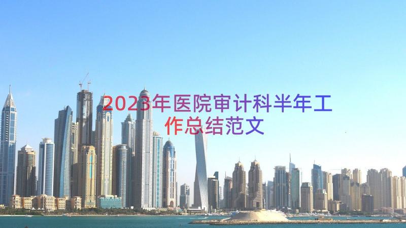 2023年医院审计科半年工作总结范文（12篇）