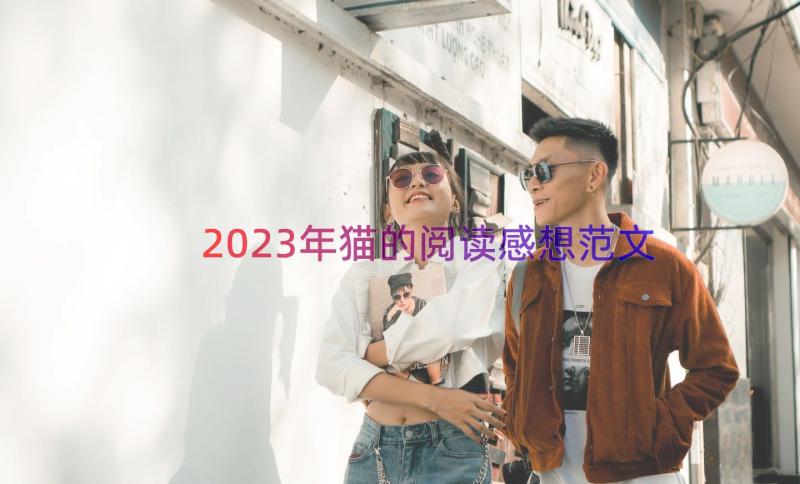 2023年猫的阅读感想范文（18篇）