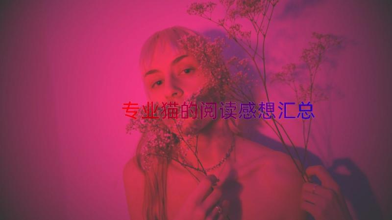 专业猫的阅读感想（汇总16篇）