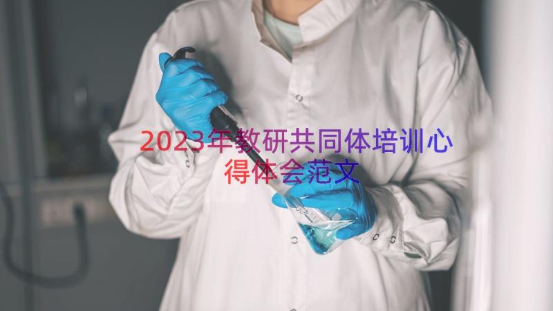 2023年教研共同体培训心得体会范文（13篇）