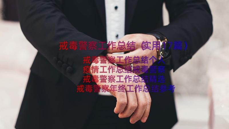 戒毒警察工作总结（实用17篇）