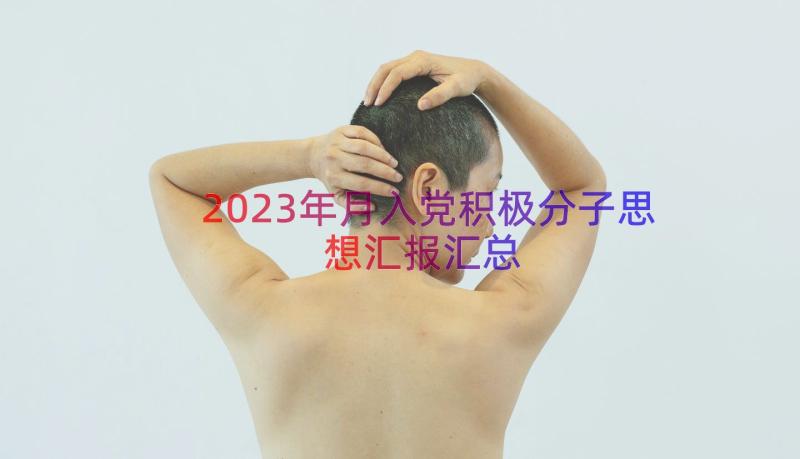 2023年月入党积极分子思想汇报（汇总16篇）