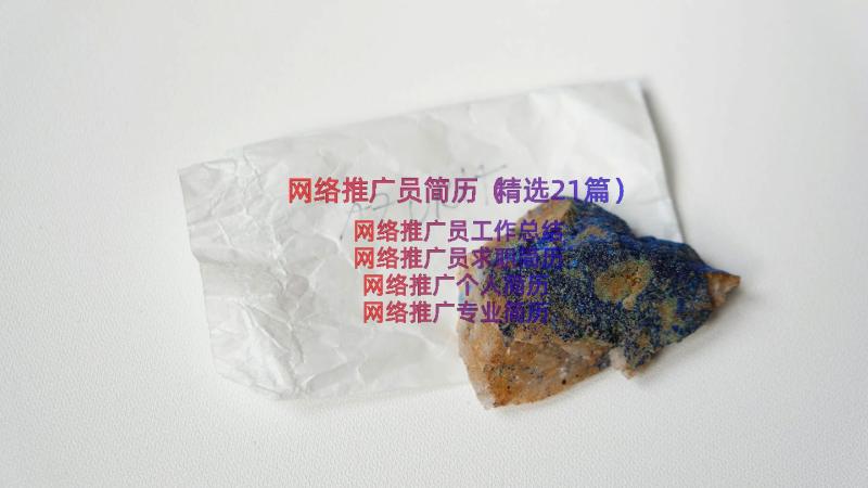 网络推广员简历（精选21篇）