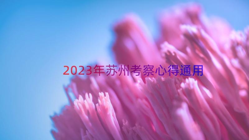 2023年苏州考察心得（通用15篇）