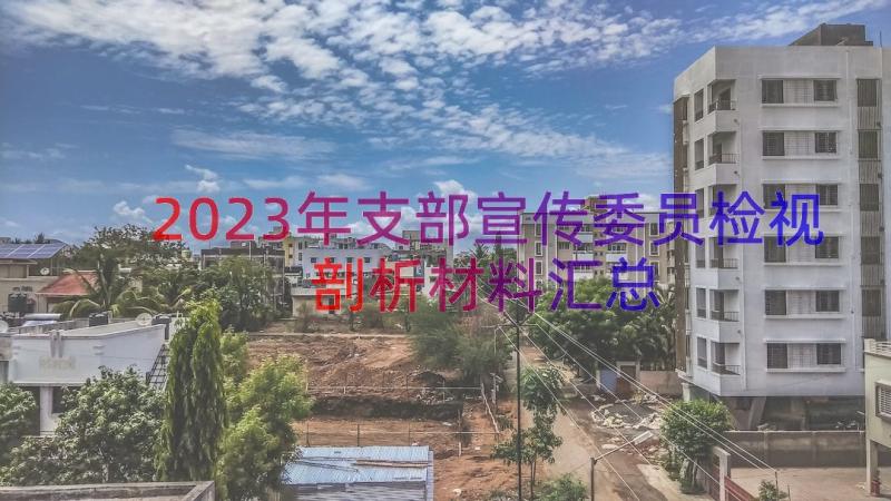 2023年支部宣传委员检视剖析材料（汇总17篇）