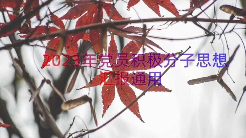 2023年党员积极分子思想汇报（通用13篇）