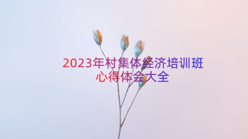 2023年村集体经济培训班心得体会大全（14篇）