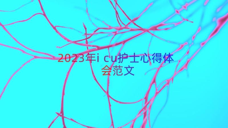 2023年icu护士心得体会范文（13篇）