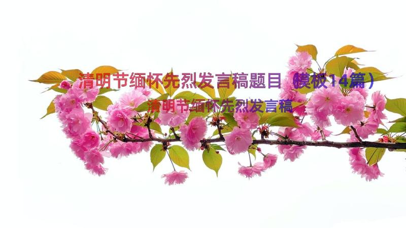 清明节缅怀先烈发言稿题目（模板14篇）