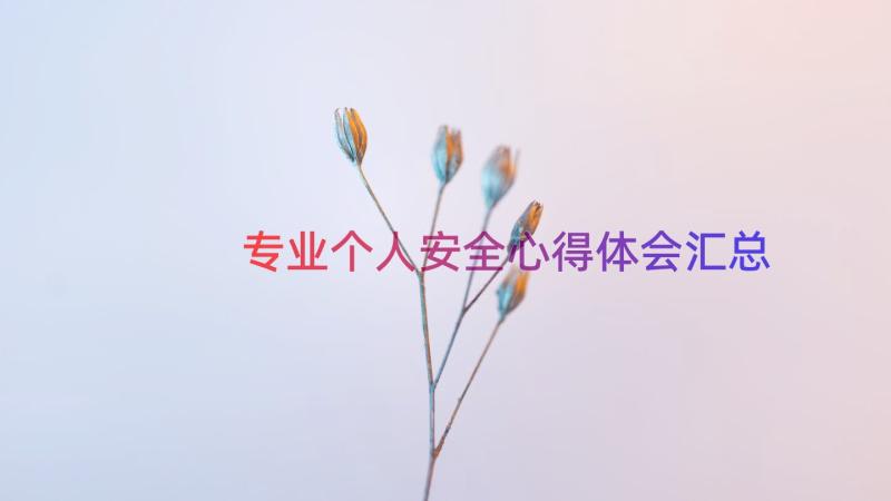 专业个人安全心得体会（汇总18篇）