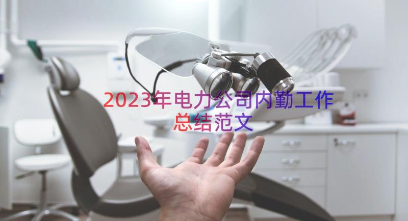 2023年电力公司内勤工作总结范文（13篇）