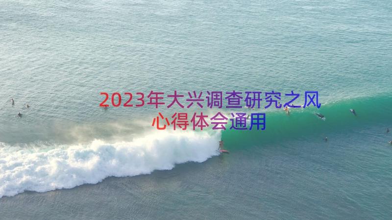 2023年大兴调查研究之风心得体会（通用12篇）