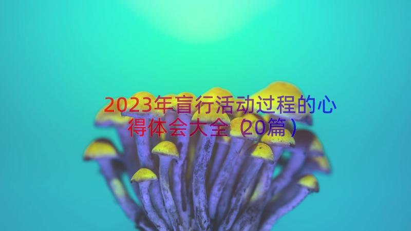 2023年盲行活动过程的心得体会大全（20篇）