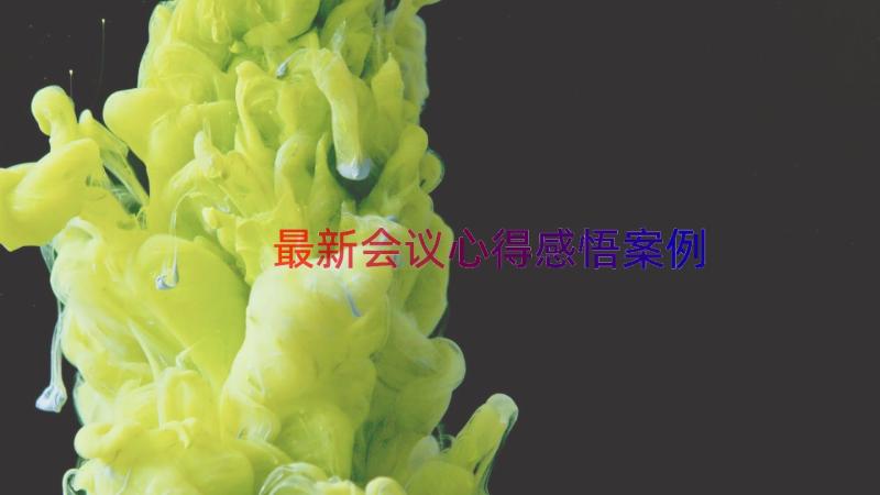 最新会议心得感悟（案例15篇）