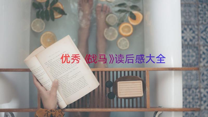 优秀《战马》读后感大全（16篇）