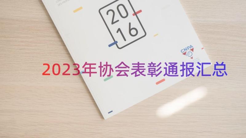 2023年协会表彰通报（汇总17篇）