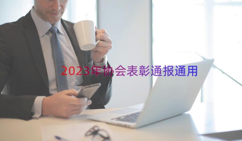 2023年协会表彰通报（通用14篇）