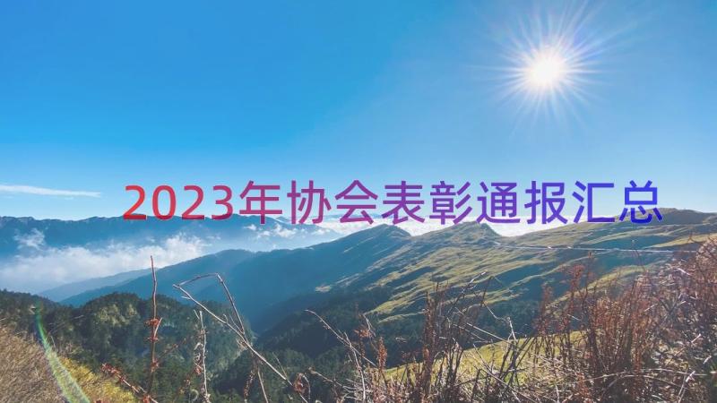 2023年协会表彰通报（汇总17篇）