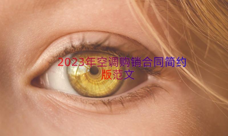 2023年空调购销合同简约版范文（18篇）