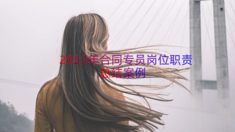 2023年合同专员岗位职责总结（案例19篇）