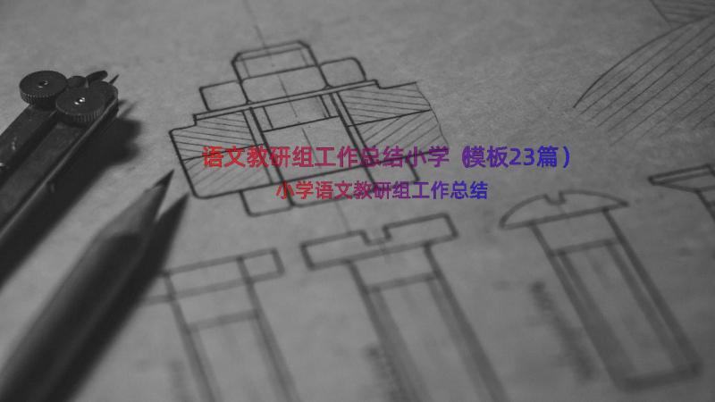 语文教研组工作总结小学（模板23篇）