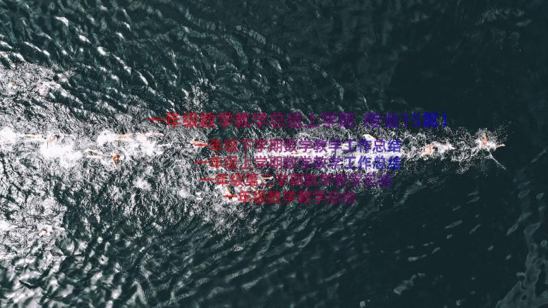 一年级数学教学总结上学期（专业15篇）