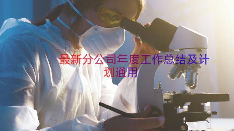 最新分公司年度工作总结及计划（通用16篇）